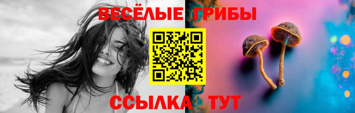 Галлюциногенные грибы Psilocybe  Псилоцибиновые грибы мицелий  Вход с VPN  Ярославль 